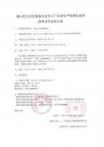 安全生产标准化技术服务项目流标公告